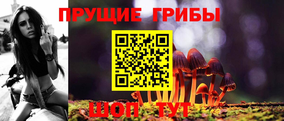 Галлюциногенные грибы MAGIC MUSHROOMS Ейск